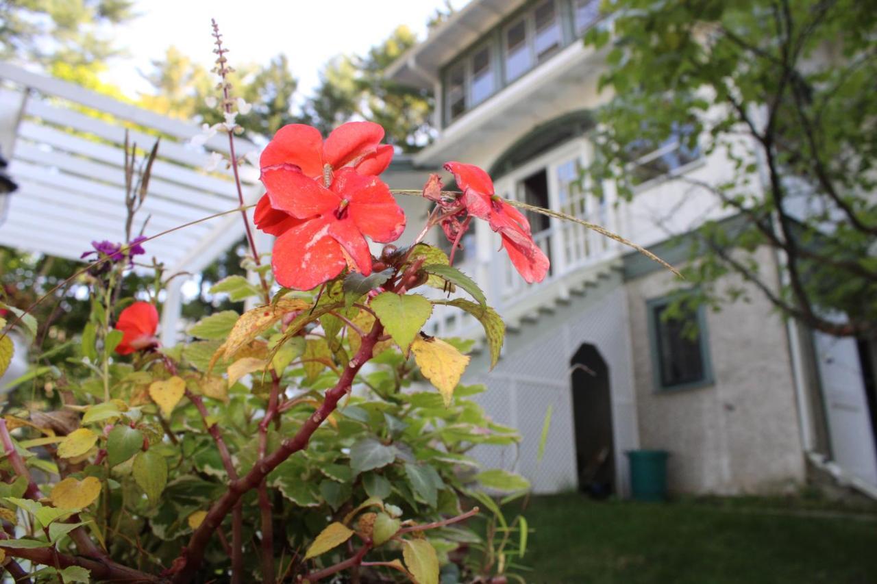 The Hillside B&B. Home W/ Breakfast Service! Wisconsin Dells Kültér fotó